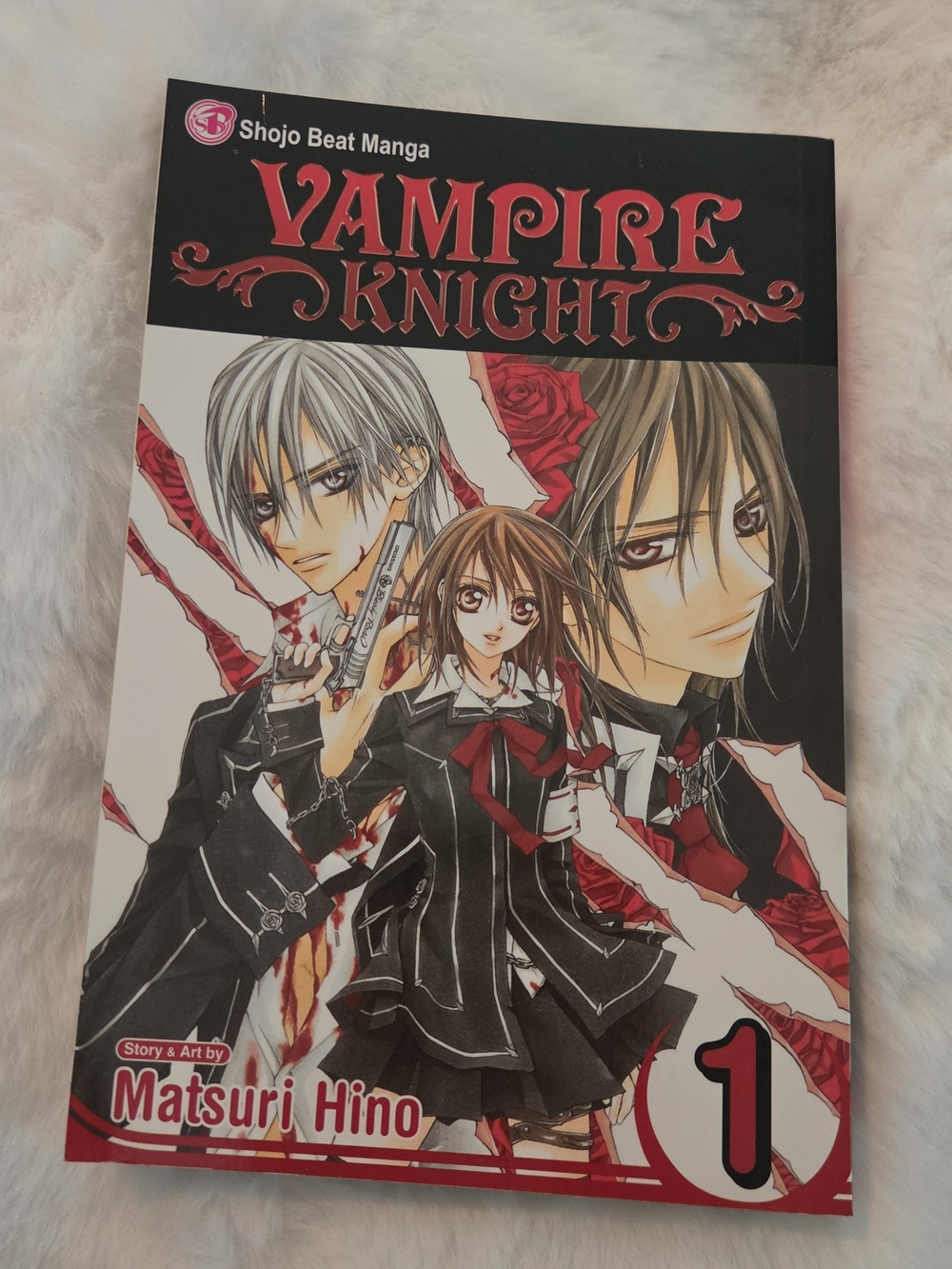 Vampire Knight Manga Vol 1